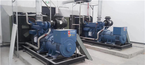 西昌項目2臺600kw玉柴并機